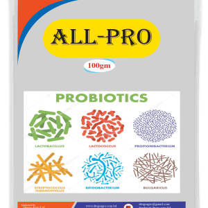 All Pro 100gm